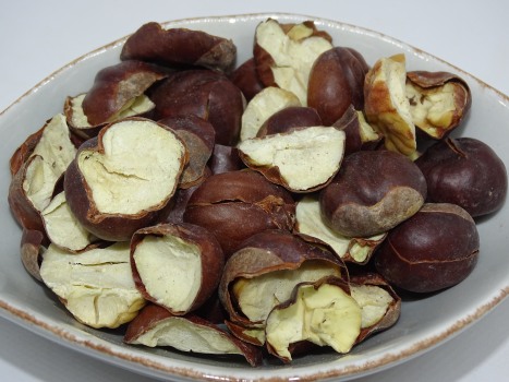 Rosskastanie Früchte bio